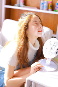 少女的心是什么书